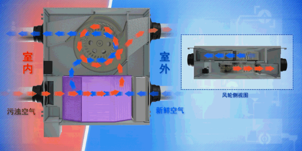 哪些情况可以考虑安装新风净化安装？